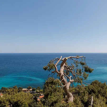 Les Citrons D 4p - Vue Panoramique Et Calme Absolu - Au Coeur Des Citronniers A * Èze