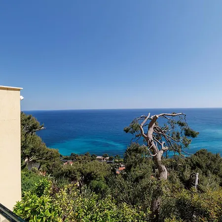 Lejlighed Les Citrons D 4p - Vue Panoramique Et Calme Absolu - Au Coeur Des Citronniers A *
