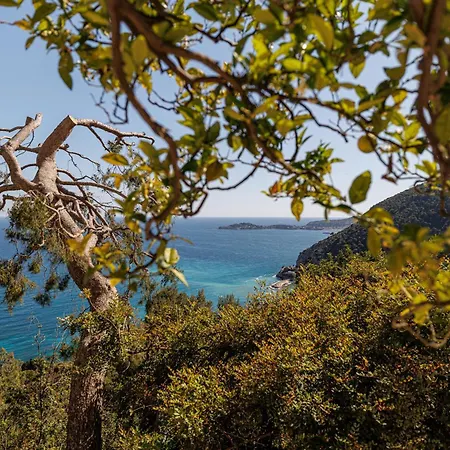 Les Citrons D 4p - Vue Panoramique Et Calme Absolu - Au Coeur Des Citronniers A Lejlighed